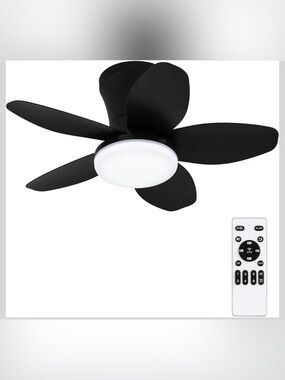 Ceiling Fan 25” with Lights and Remote Control